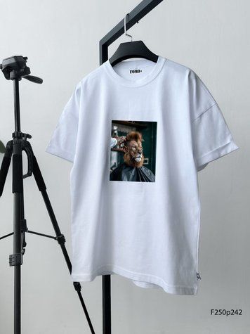 Футболка з принтом f250p242-XL фото