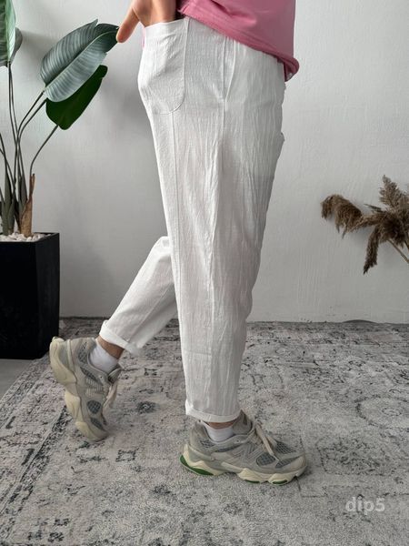 Брюки чоловічі літні льняні Dipsy dip5-XL фото