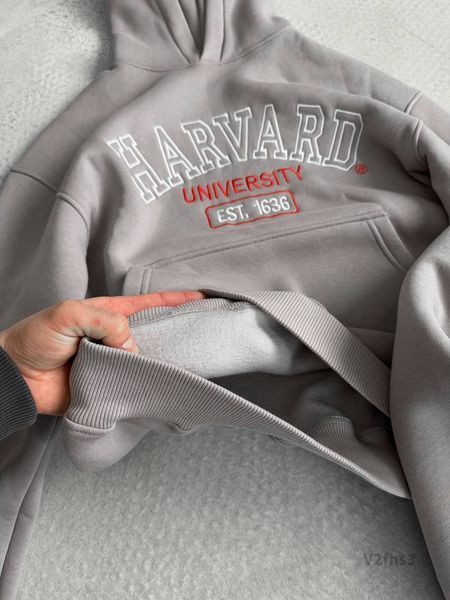 Костюм худі штани Harvard v2fhs3XL фото
