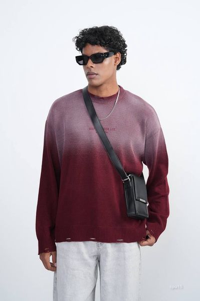 Світшот чоловічий LAYER  spu15-XL фото