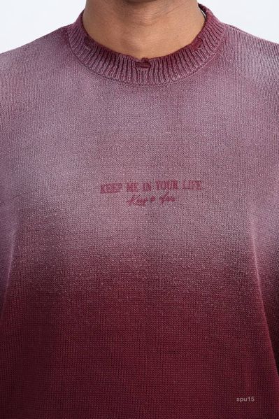 Світшот чоловічий LAYER  spu15-XL фото