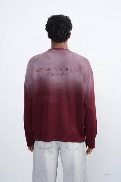 Світшот чоловічий LAYER  spu15-XL фото