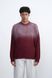 Світшот чоловічий LAYER  spu15-XL фото 1