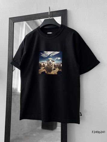 Футболка з принтом f249p241-XL фото