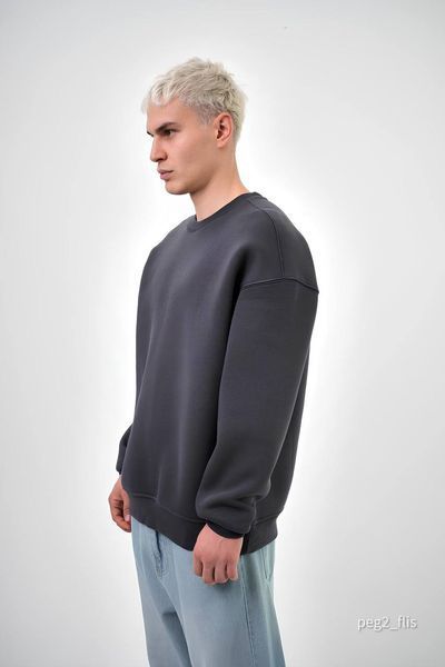 Світшот чоловічий базовий Pegas на флісі peg2_flisS фото