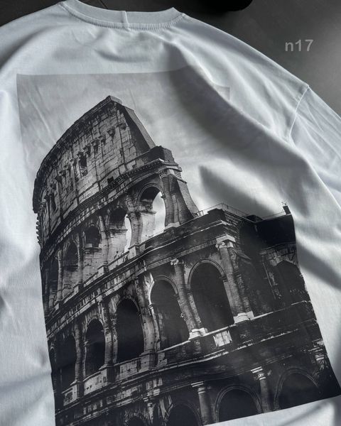 Футболка чоловіча оверсайз з принтом прямого друку 24f5n17-XXL фото